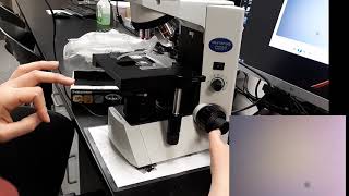 How to Use the Olympus Microscope & find the letter E