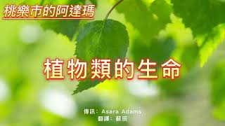 【桃樂市的阿達瑪】你會得到通往生命和揚升的鑰匙——當你以植物的方式看待你的存在時