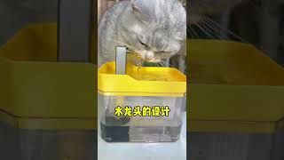 模拟水龙头的自动饮水机！猫咪超爱喝流动水 #新手养猫 #猫咪好物 #宠物饮水机 #养猫的日常 猫奴十三