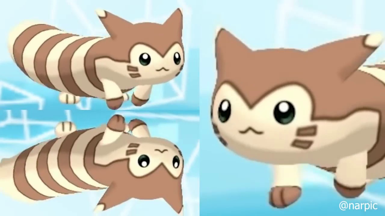 Furret Walk - YouTube