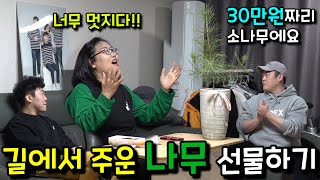 [몰카] 엄마한테 길에서 주운 나무를 천연기념물이라고 선물한다면?ㅋㅋㅋㅋㅋ