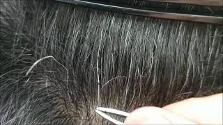 白髪抜き長い白髪を抜くのを見るのは楽しい☆Plucking white hair　　Không có tóc bạc