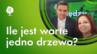 Między Drzewami #100 Ile jest warte jedno drzewo? [dr Michał Orzechowski, SGGW] | PODCAST