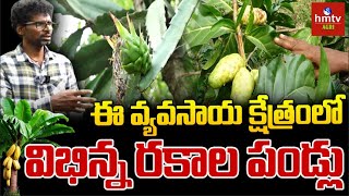 ఈ వ్యవసాయ క్షేత్రంలో విభిన్న రకాల పండ్లు.. | HMTV Agri