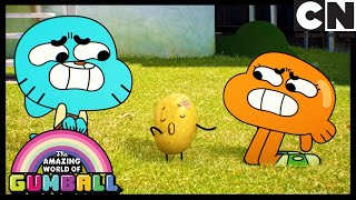 Şapşal | Gumball Türkçe | Çizgi film | Cartoon Network Türkiye