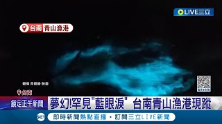 藍眼淚不用到馬祖也看得到! 台南將軍區青鯤鯓出現罕見\