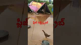 ఇలాంటి కష్టం