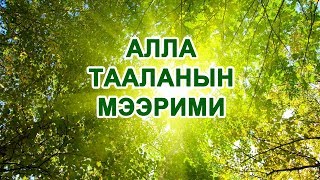 Алла Тааланын мээрими