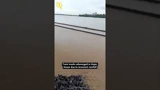 Assam Floods | Train Tracks Submerged in Hojai, Assam Due to Incessant Rainfall