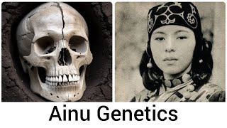 Why The Ainu DNA Is So Unique?