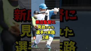 新庄監督から見放された選手の末路3選#野球 #雑学