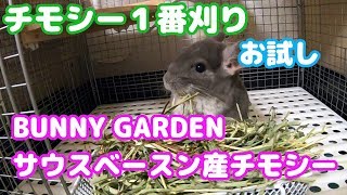 【DAY28】食いつきの良いチモシーを探せ！BUNNY GARDENさんのチモシー1番狩りのお試し！【チンチラ牧草お試し】