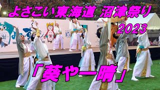 よさこい東海道 沼津祭り 2023 「葵や一晴」 中央公園演舞場