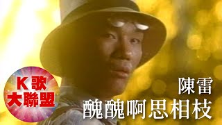 陳雷-醜醜啊思相枝【KTV導唱字幕】