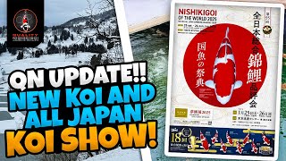 QN UPDATE - ALL JAPAN KOI SHOW!!