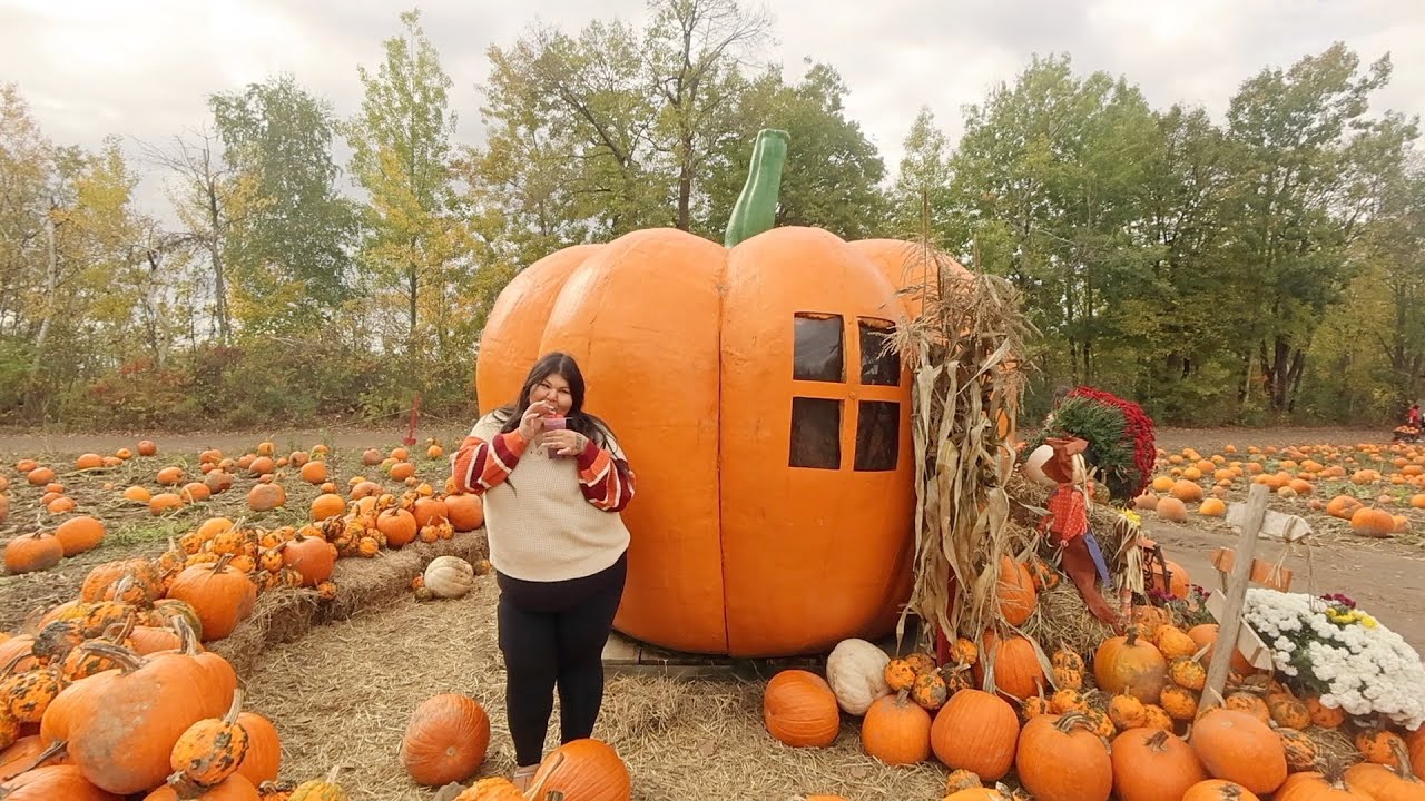 Going Pumpkin Picking Youtube