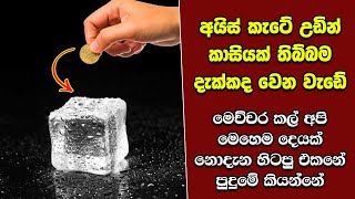 ඔබ මේවා දකින්නේ ජිවිතේ පළමු වතාවට EP:345