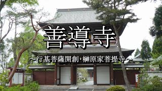 善導寺（群馬県館林市）