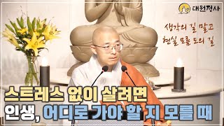 [24] 스트레스 없이 살려면, 인생 어디로 가야 할 지 모를 때,  성형수술 너무 하고 싶을 때