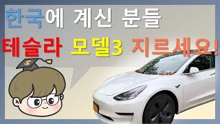 한국에 계신 분들 테슬라 모델3 꼭 사세요!