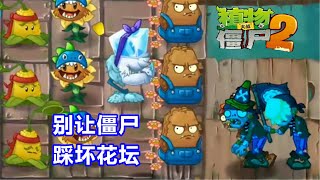 植物大战僵尸2国际版：一阶植物闯海盗19 20天，别让僵尸踩坏花坛！