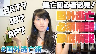 国外逃亡必須用語徹底解説！このチャンネル今まで聞いたことない分からない用語出てきすぎなんですけど！の声にお応えして基礎から徹底解説します！｜#国外逃亡術