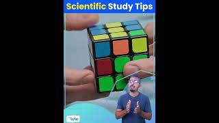 Best scientific study tips | letstute | study tips