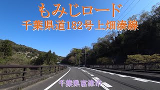 【2021】もみじロード / 千葉県富津市