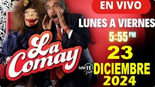 🔴La Comay Hoy En Vivo 23 De DICIEMBRE 2024 Puerto Rico #teleonce #lacomay #teleonceenvivo #lacomay