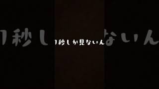 なんかごめん...うん...ほんとになんかごめんね...