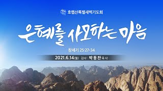 호렙산 8일차. 은혜를 사모하는 마음 (창 25:27-34)