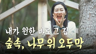 [SUB] 럭키비키 박진희, 숲속 나무 위 오두막집 발견 - 오랜 시간 찾은 꿈의 땅 😊