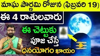 ఫిబ్రవరి 19 మాఘ పౌర్ణమి రోజున ఈ 4 రాశులవారు ఈ చెట్టు కు పూజ చేస్తే ధనయోగం కలుగుతుంది|Astro Syndicate