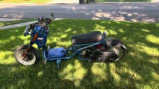 Ice Bear Mad Dog Scooter 50cc with custom wheels