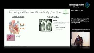 S. Batkai - The translational value of US imaging in heart failure drug development