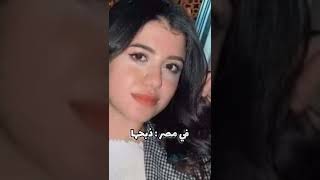 شو بيصير للبنت اذا رفضت الزواج من شخص؟ وين حقوق المرأة