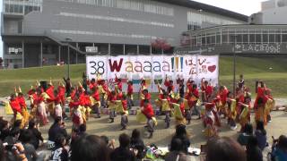 kagura 2013 淑楓祭 ハッピー広場 騒乱走乱