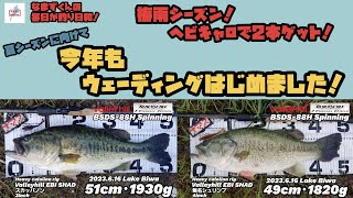 琵琶湖 ヘビキャロ  ｢ 今年もウェーディングはじめました！ ｣ ( なまずくんの毎日が釣り日和！ )