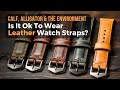 Is It Ok To Wear Leather Straps? – Calf, Alligator, the Environment & Some Insights