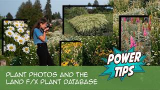 Power Tip: Plant Photos and the Land F/X Plant Database