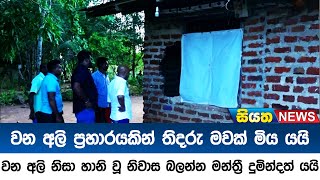 වන අලි ප්‍රහාරයකින් තිදරු මවක් මිය යයි | Siyatha News