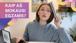 Kaip pasiruošti egzaminams? | Vilniaus Universiteto studentė