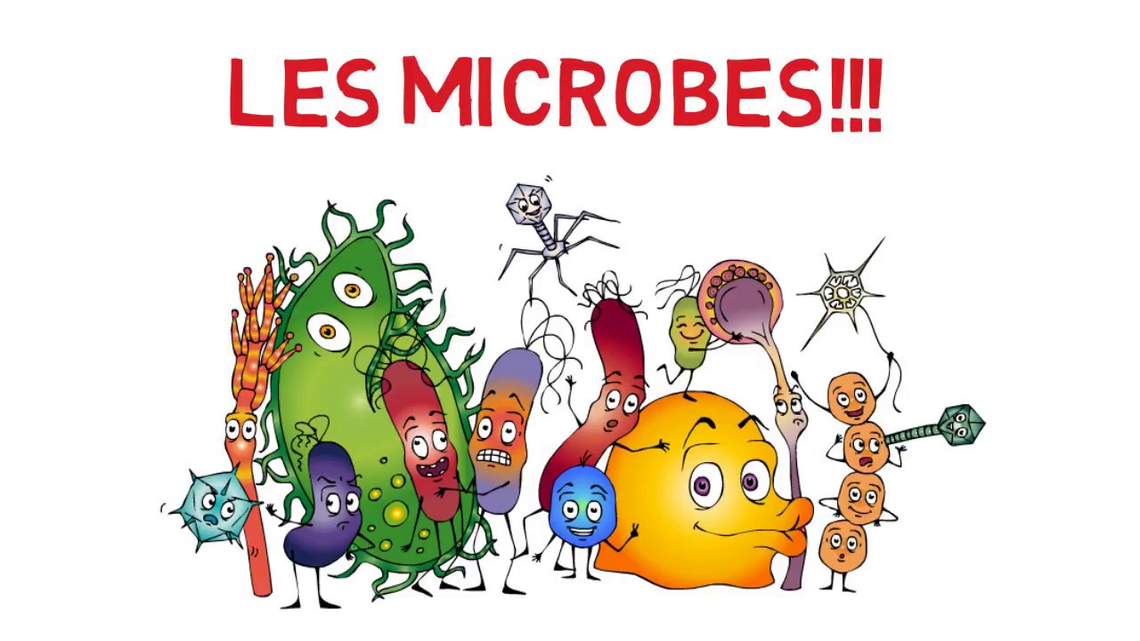 Cours En Ligne «Les Microbes Et Vous» - YouTube