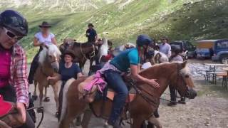 Alpenritt 2017  - Tag 4 Breitlahner nach St  Jakob