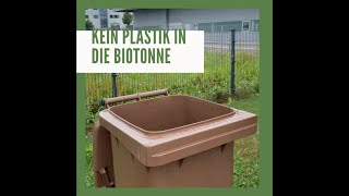 Biomüll - in die Tonne richtig entsorgen