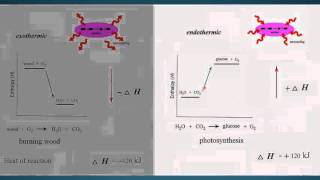 37    ENERGY       ENTHALPY