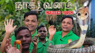 ⚕️பாம்பு வடிவில் அம்மன் உலாவரும் நாகவனம் || Garden Tour Tamil @UngalammaUravugal