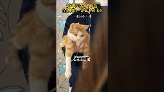 这是怎么做到全国统一的？ #猫咪 #可爱 #萌宠 #cat #catlover #catlife #catlovers #喵星人 #貓 #cats #catvideos