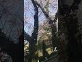 明野アクロス付近を歩く　明野　大分市　大分県