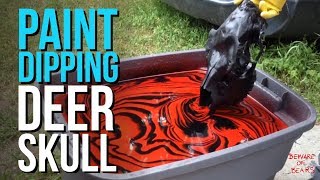 Paint Dipping a Deer Skull